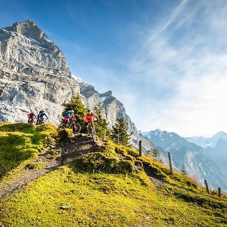 Mountain Lodge Urweider Innertkirchen Εξωτερικό φωτογραφία