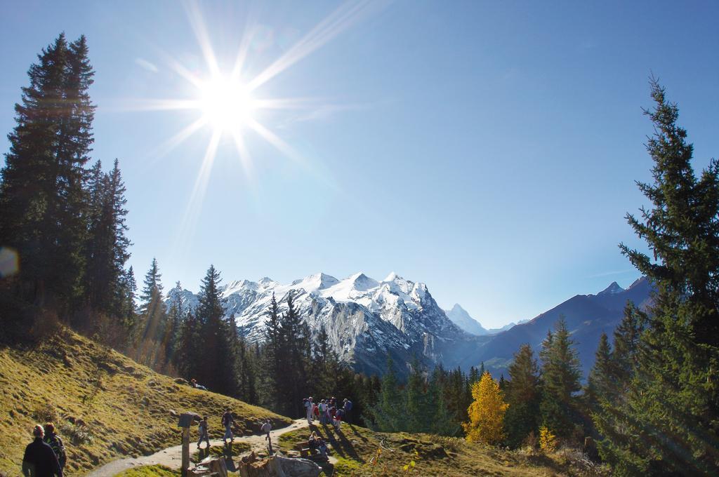 Mountain Lodge Urweider Innertkirchen Εξωτερικό φωτογραφία