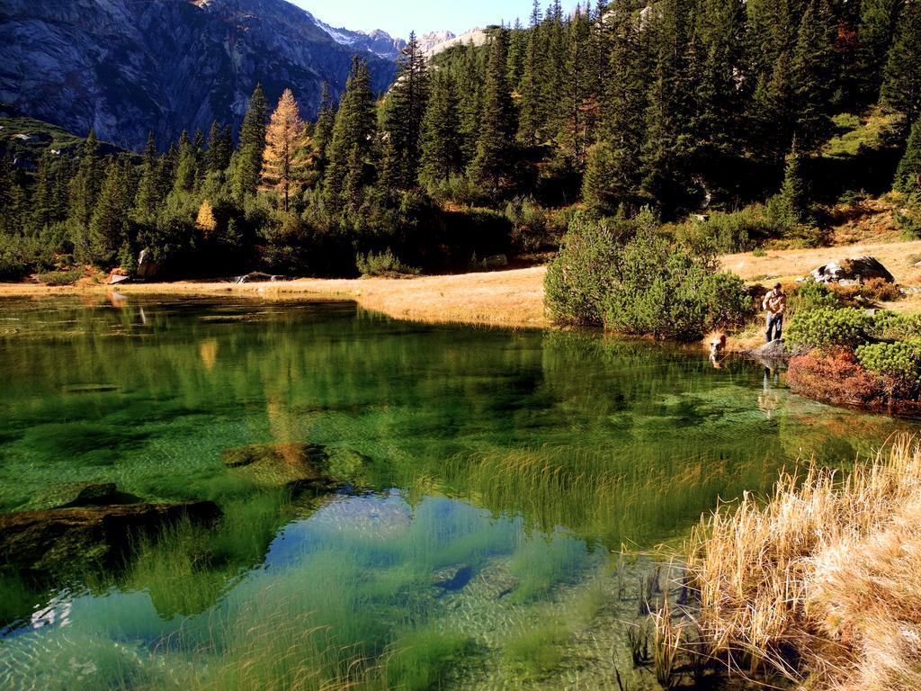 Mountain Lodge Urweider Innertkirchen Εξωτερικό φωτογραφία