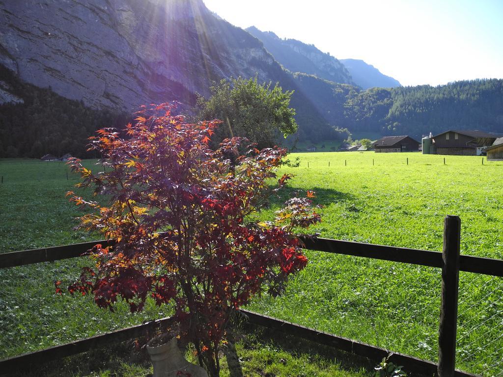 Mountain Lodge Urweider Innertkirchen Εξωτερικό φωτογραφία