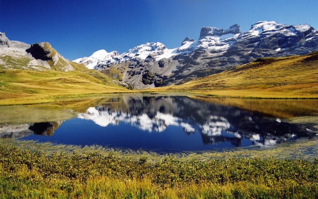 Mountain Lodge Urweider Innertkirchen Εξωτερικό φωτογραφία