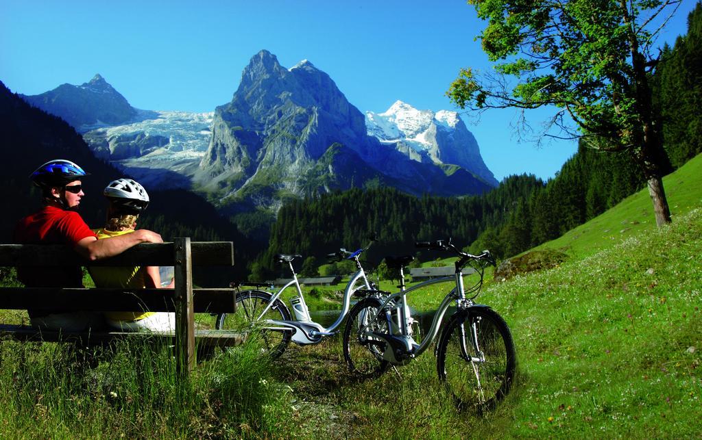 Mountain Lodge Urweider Innertkirchen Εξωτερικό φωτογραφία