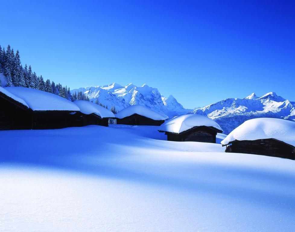 Mountain Lodge Urweider Innertkirchen Εξωτερικό φωτογραφία