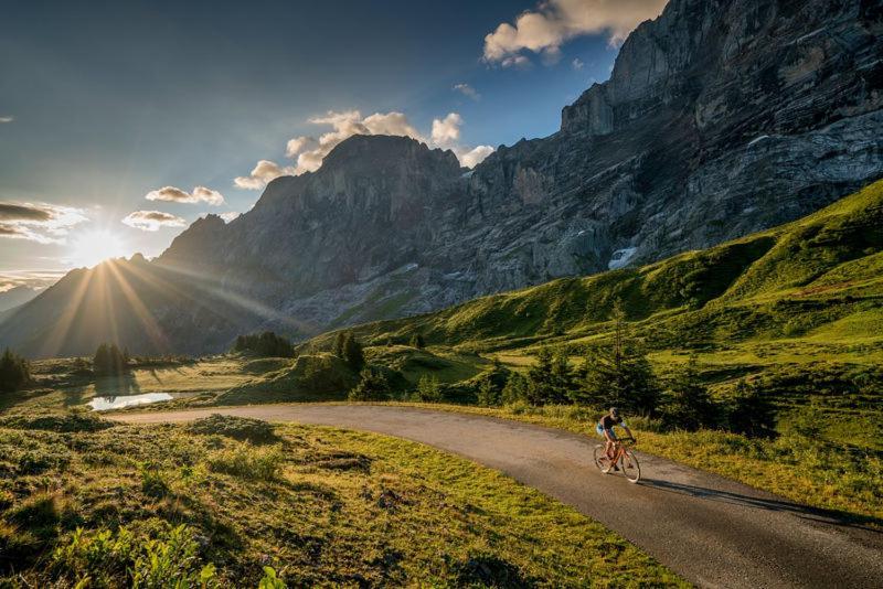 Mountain Lodge Urweider Innertkirchen Εξωτερικό φωτογραφία