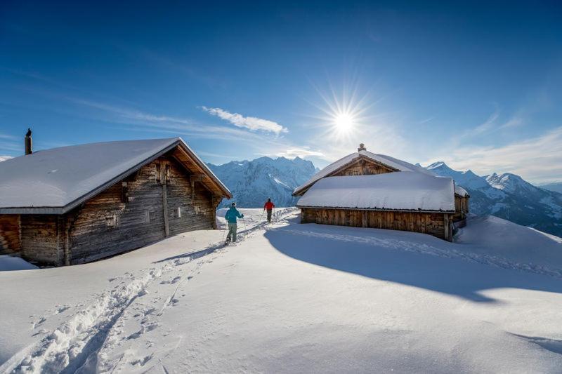 Mountain Lodge Urweider Innertkirchen Εξωτερικό φωτογραφία